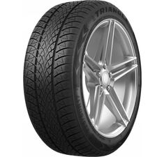 Triangle WinterX TW401 195/55R16 91H